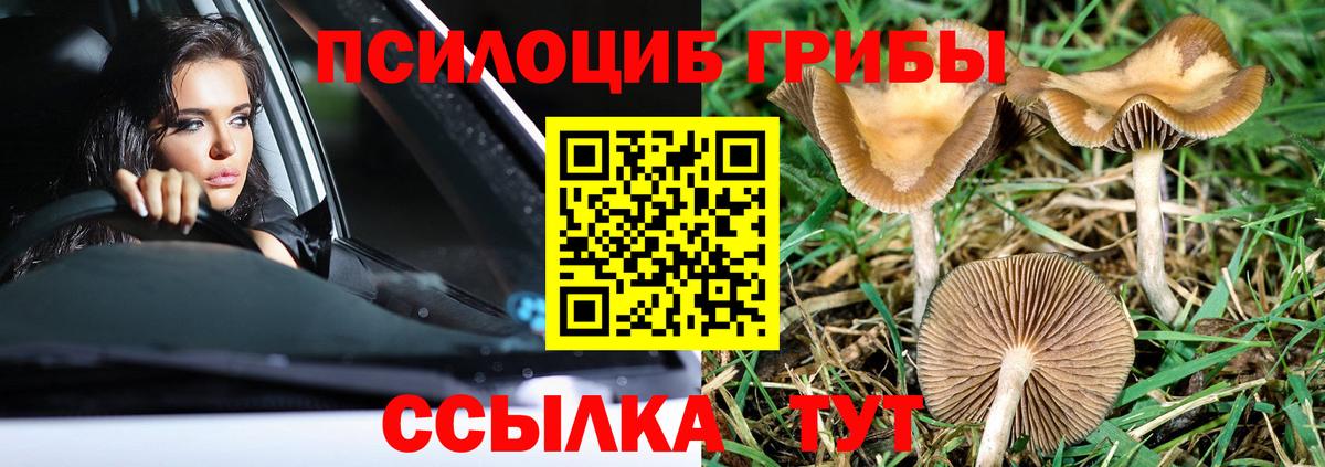 Галлюциногенные грибы мухоморы  Псилоцибиновые грибы прущие грибы  где купить наркотик  Вход с VPN  Муравленко 
